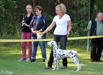 Tanja Bock mit Christi ORMOND Raise me Up