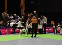 Tanja Bock mit Christi ORMOND Raise me Up