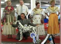 Presentation of male Chapman vom Teutoburger Wald Club show Zagreb / ​​Croatia 2007 - Veteran Class