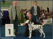 Presentation of male Chapman vom Teutoburger Wald Federal Winner Show Dortmund 2007 - Ring of Honor