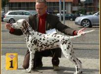 Presentation of female Latoya vom Teutoburger Wald National Show Cloppenburg 2007 - Champion Class