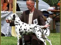 Presentation of female Jameela vom Teutoburger Wald Regional Show Leopoldstal 2007 - Champion Class