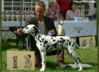 Presentation of the female Cara Mia Carina aus dem Leopoldstal Regional Show Adendorf 2007 - Puppy class