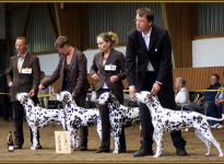 Presentation of Christi ORMOND breeding group Regional Show in Adendorf 2010