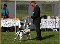 Presentation of female Nabuka vom Teutoburger Wald Regional Show in Leopoldstal 2011 - Champion Class