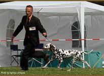 Presentation of female Christi ORMOND First Fairytale CAC Show in Pritzhagen 2011 - Intermediate Class