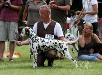 Presentation of female Quality Queen vom Teutoburger Wald