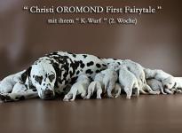 Christi ORMOND First Fairytale mit ihrem Christi ORMOND K - Wurf 2. Lebenswoche