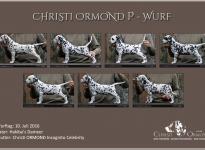 Standfotos Christi ORMOND P - Wurf