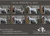 Standfotos Christi ORMOND Q - Wurf