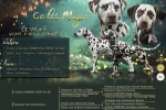 Deckung Christi ORMOND Zest for Life