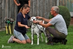 Fotoimpressionen 18. Dog Handling Seminar