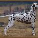 Christi ORMOND Goddess of Victory 14 Monate alt