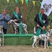 Christi ORMOND Release Me (Title: DZGD Harz Festival Winner 2019 & Best of Breed) with her owner and judge Mr. Leoš Jančik