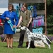 Christi ORMOND Evergreen Emerald with his owner