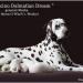 Mochaccino Dalmatian Dream 8 Jahre alt